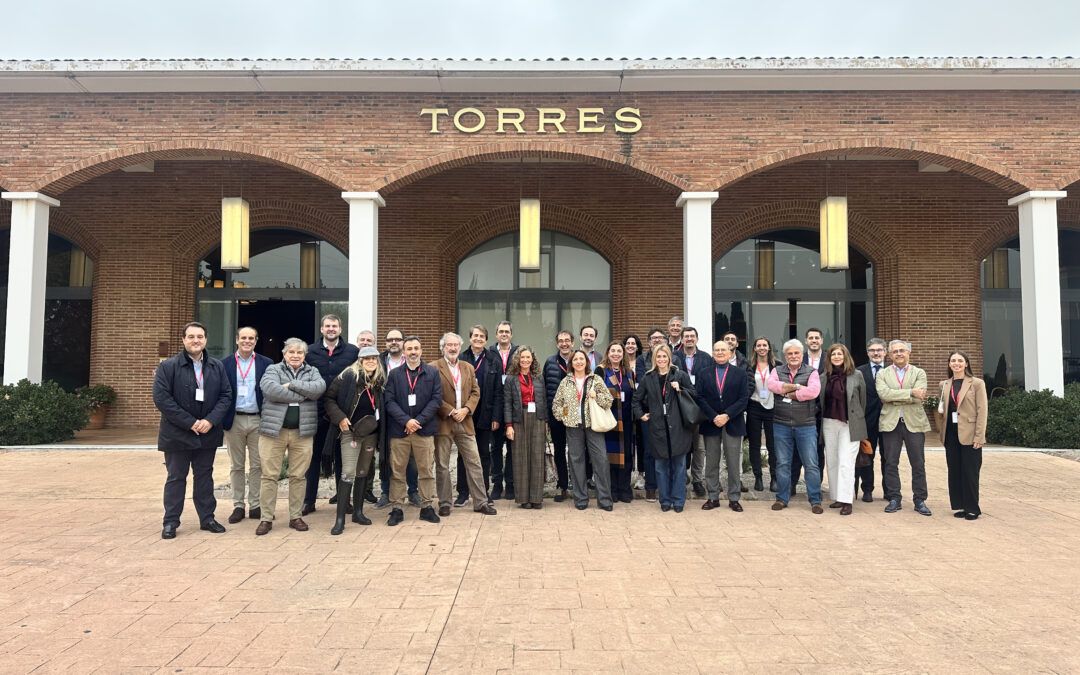De la RSC al core del negocio: cómo Familia Torres lidera la transición climática en el sector del vino