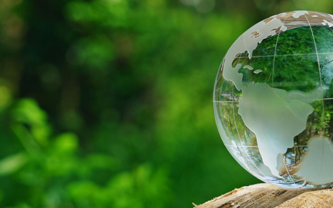 La sostenibilidad se reinventa en 2026: de la carga regulatoria a factor de competitividad estratégica